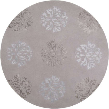 Nonchu Transitional Medium Gray Area Rug